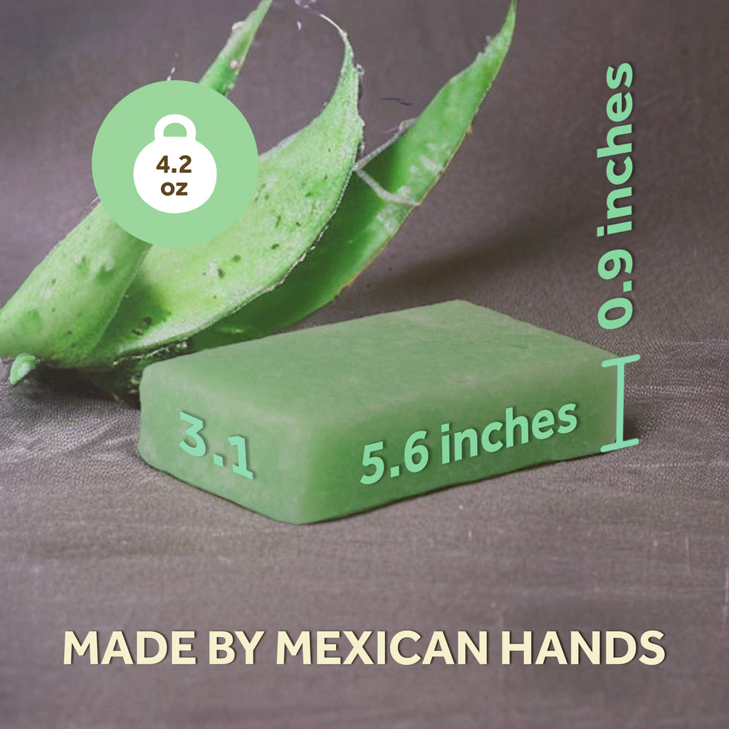 EsponJabon - Aloe Vera, Moisturizer - Soap Sponge by T.Taio